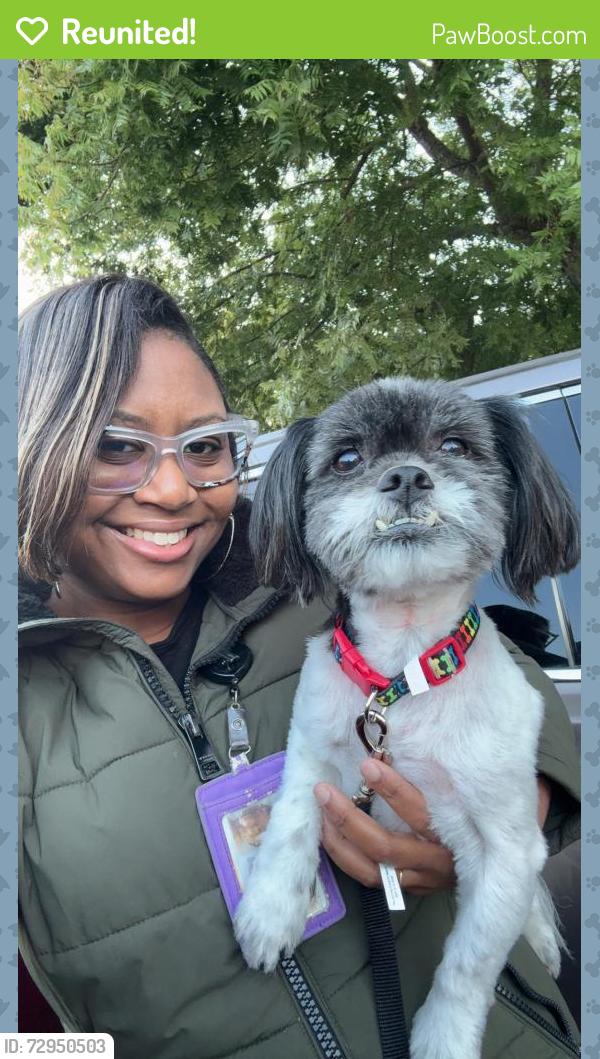Reunited Male Dog last seen Spur Way & Kushner, Antioch, CA 94531