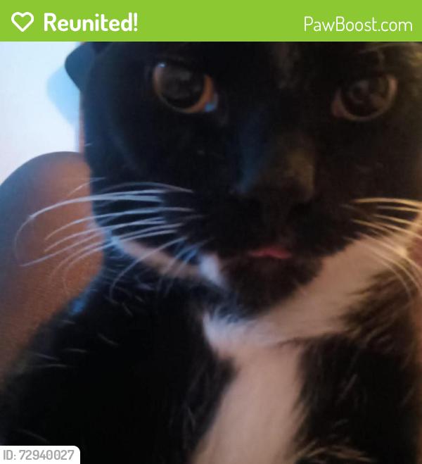 Reunited Male Cat last seen Near lines street troop , Throop, PA 18512