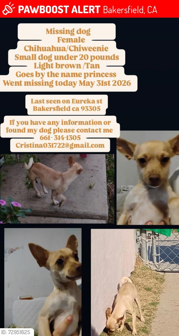 Lost Female Dog last seen By Lincoln middle School and Eureka st, Bakersfield, CA 93305