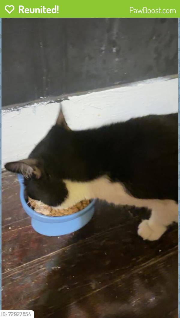 Reunited Male Cat last seen Around avenue h, arch st, e rosedale st, Fort Worth, TX 76105