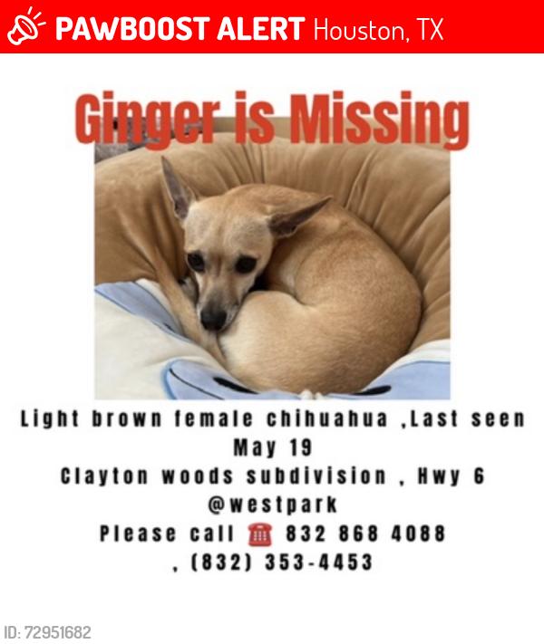 Lost Female Dog last seen Near Whitebud Dr, Houston, TX 77082