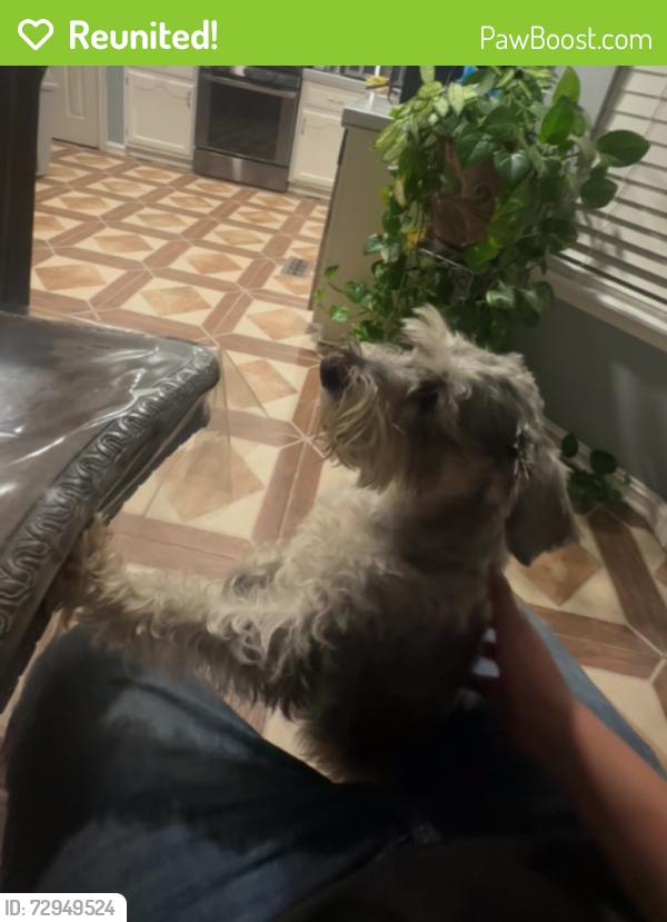 Reunited Male Dog last seen 41st and 129, Tulsa, OK 74146