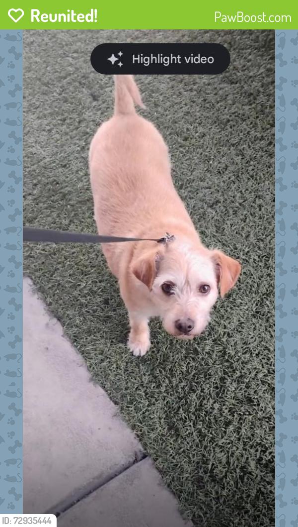 Reunited Male Dog last seen Near W Bonanza Rd, Las Vegas, NV 89106, USA, Las Vegas, NV 89106