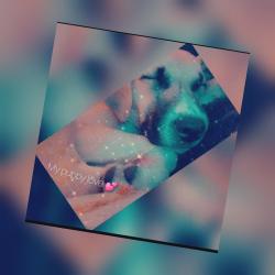 Lost Female Dog last seen White Lane And Hughes, Bakersfield, CA 93313