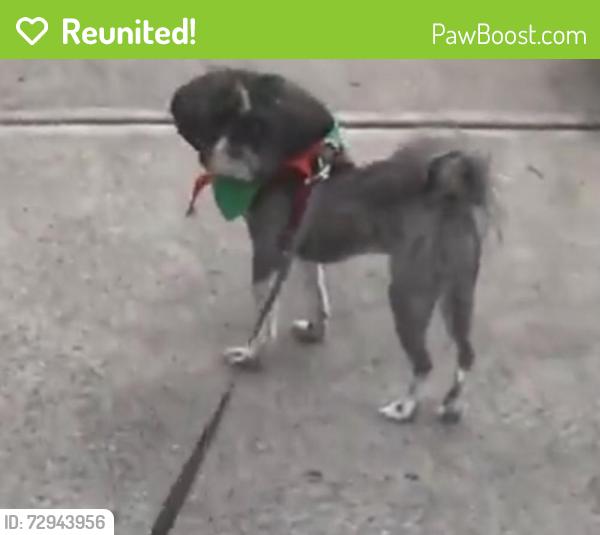 Reunited Male Dog last seen South Fulton Pkwy, Fairburn, GA 30291