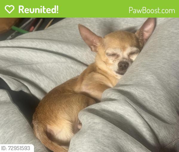 Reunited Male Dog last seen Near S. 1850 E., Salt Lake City, UT 84106