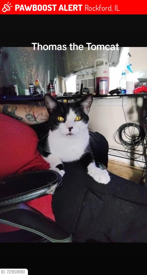 Lost Male Cat last seen 9th Street 10th 11th, Rockford, IL 61104