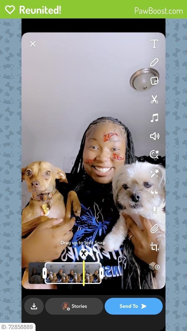 Reunited Female Dog last seen brewster rd, Birmingham, AL 35235