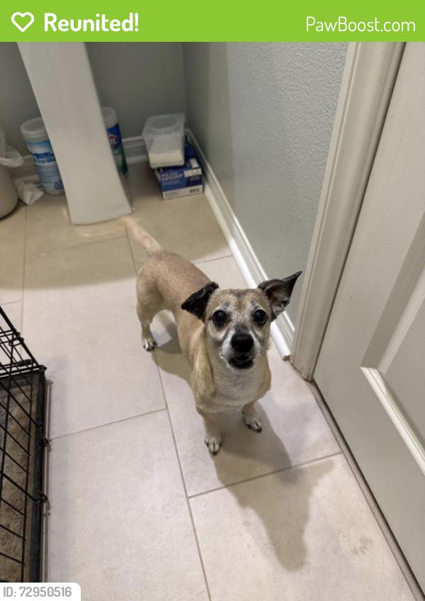 Reunited Male Dog last seen Johanna circle & quilt way, Menifee, CA 92584
