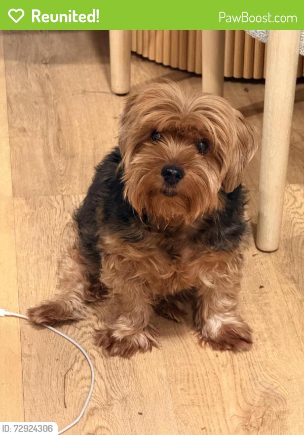 Reunited Male Dog last seen Closner and Freddy Gonzalez , Edinburg, TX 78539