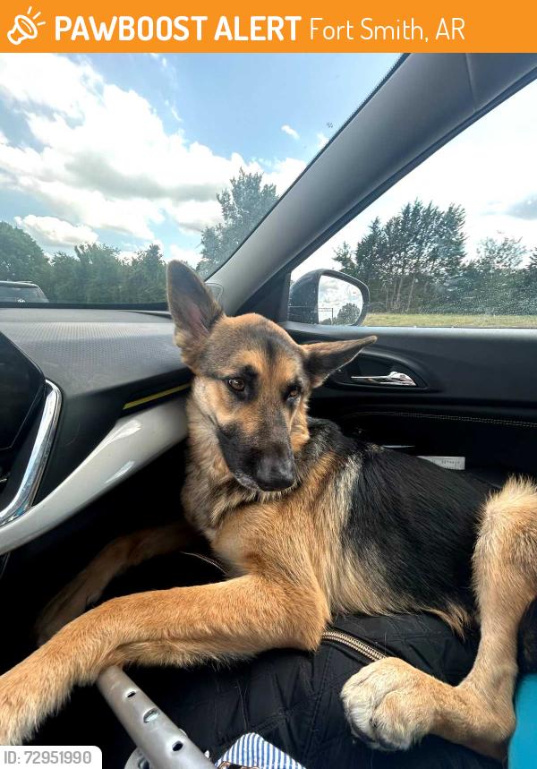 Found/Stray Female Dog last seen Rogers ave & S 21st, Fort Smith, AR 72901