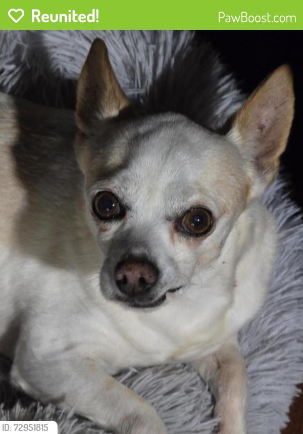 Reunited Male Dog last seen Near frye rd, Alexandria, VA 22309