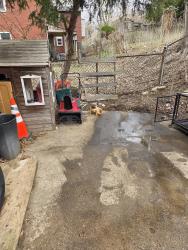 Lost Female Dog last seen Hill Ave, Wilkinsburg, PA 15221