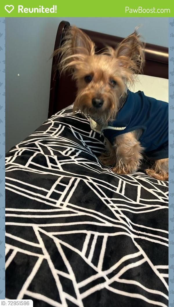 Reunited Male Dog last seen Near Rolling Timbers St Magnolia Tx 77355, Magnolia, TX 77355