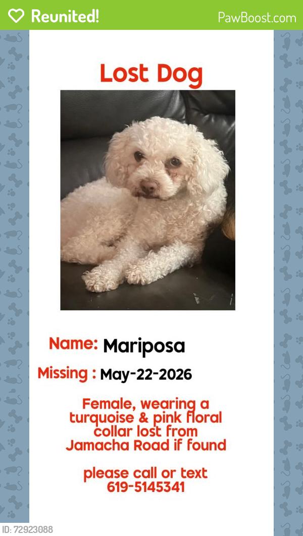 Reunited Female Dog last seen Jamacha rd & cardiff, San Diego, CA 92114