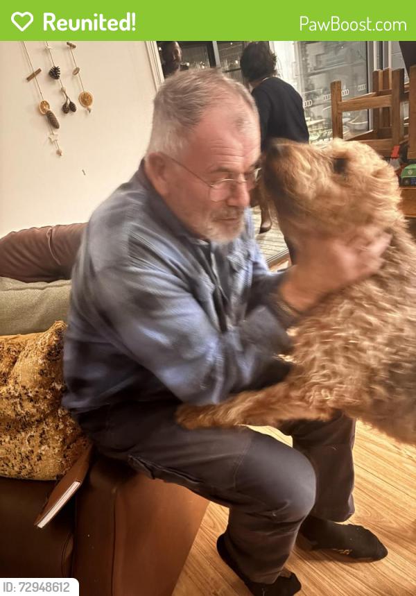 Reunited Female Dog last seen Gardenia st Huonville , Huonville, TAS 7109