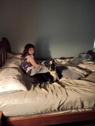 Lost Female Dog last seen Emma Rd , Asheville, NC 28806