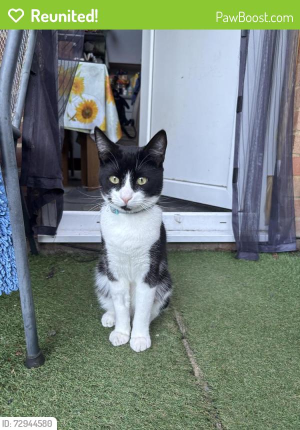 Reunited Male Cat last seen Salford store, Headington, England OX3 0RX