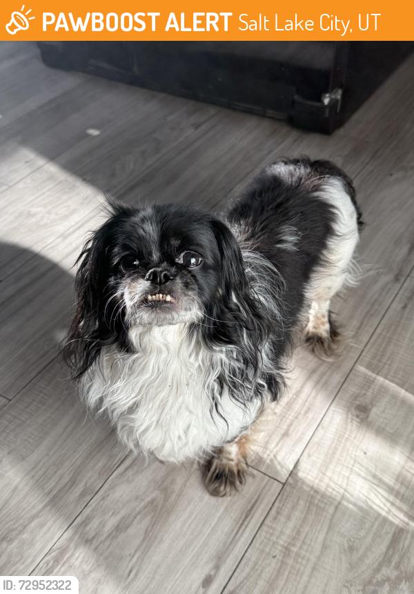 Found/Stray Male Dog last seen Near s 800 w, Salt Lake City, UT 84104