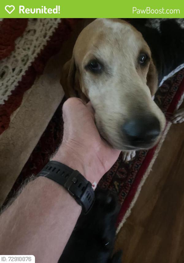 Reunited Male Dog last seen Near Johnson Rd, Columbus, NC 28722, Columbus, NC 28722