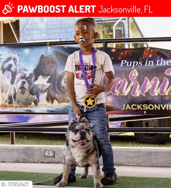 Lost Male Dog last seen Moncrief and 13th st light , Jacksonville, FL 32209