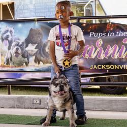 Lost Male Dog last seen Moncrief and 13th st light , Jacksonville, FL 32209