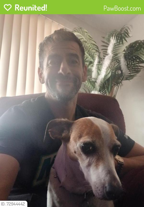 Reunited Male Dog last seen Clark park , Tempe, AZ 85281