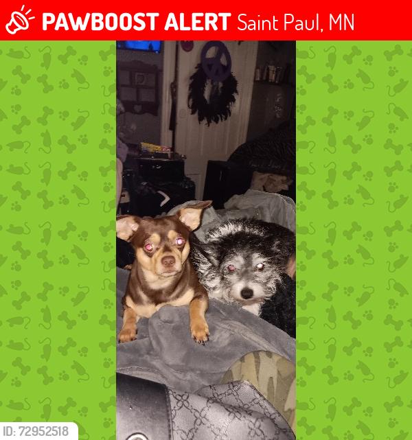 Lost Male Dog last seen oneida st , Saint Paul, MN 55130