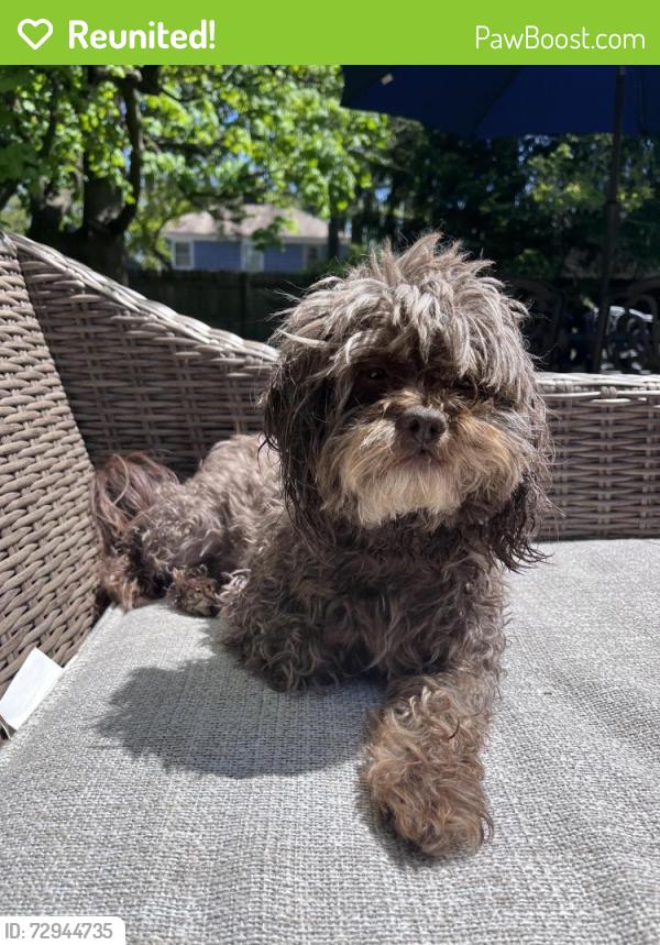 Reunited Male Dog last seen Miramar and Hinsdale , South Euclid, OH 44121