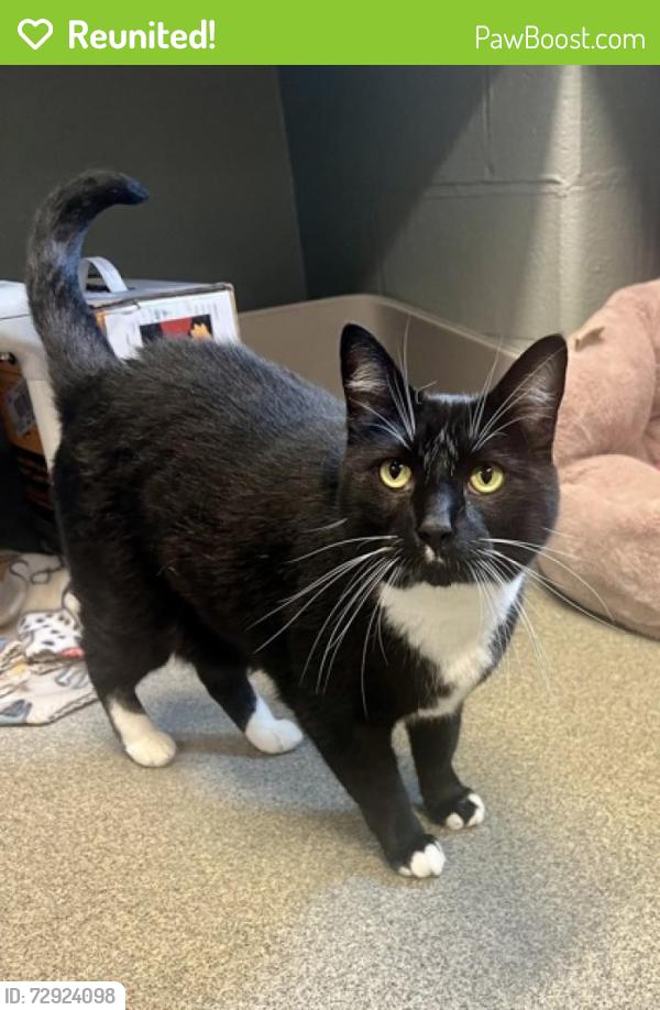 Reunited Male Cat last seen APG military base, Aberdeen Proving Ground, MD 21005