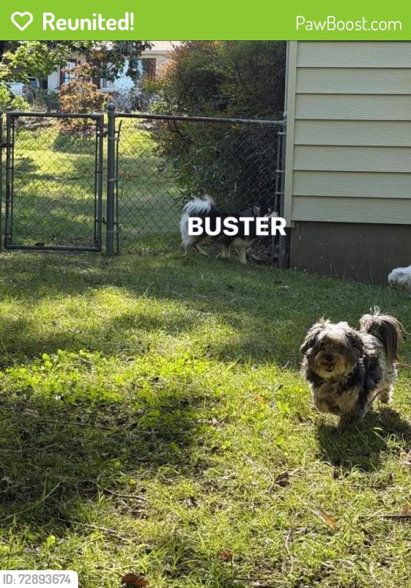 Reunited Male Dog last seen McCain rd , North Little Rock, AR 72116