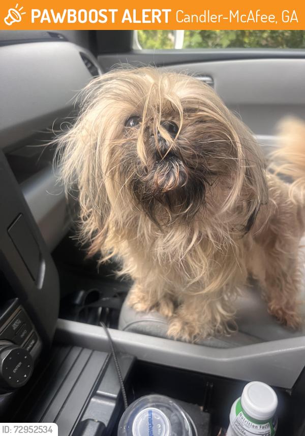 Found/Stray Unknown Dog last seen McAfee rd , Candler-McAfee, GA 30032