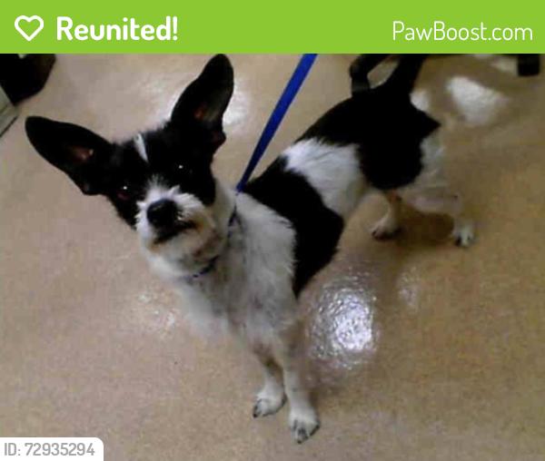 Reunited Male Dog last seen San Francisco , San Francisco, CA 94102