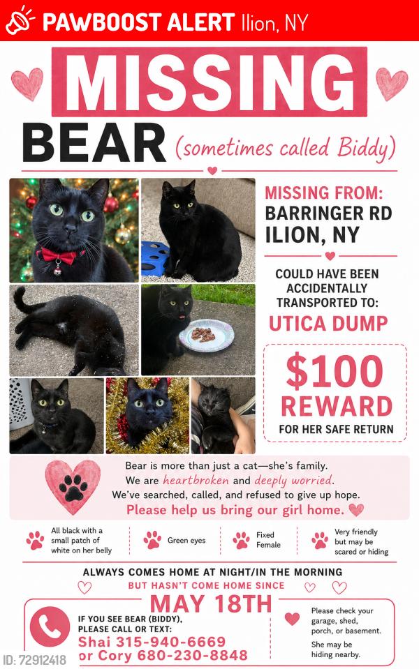 Lost Female Cat last seen Sewage plant road, Utica, NY 13502