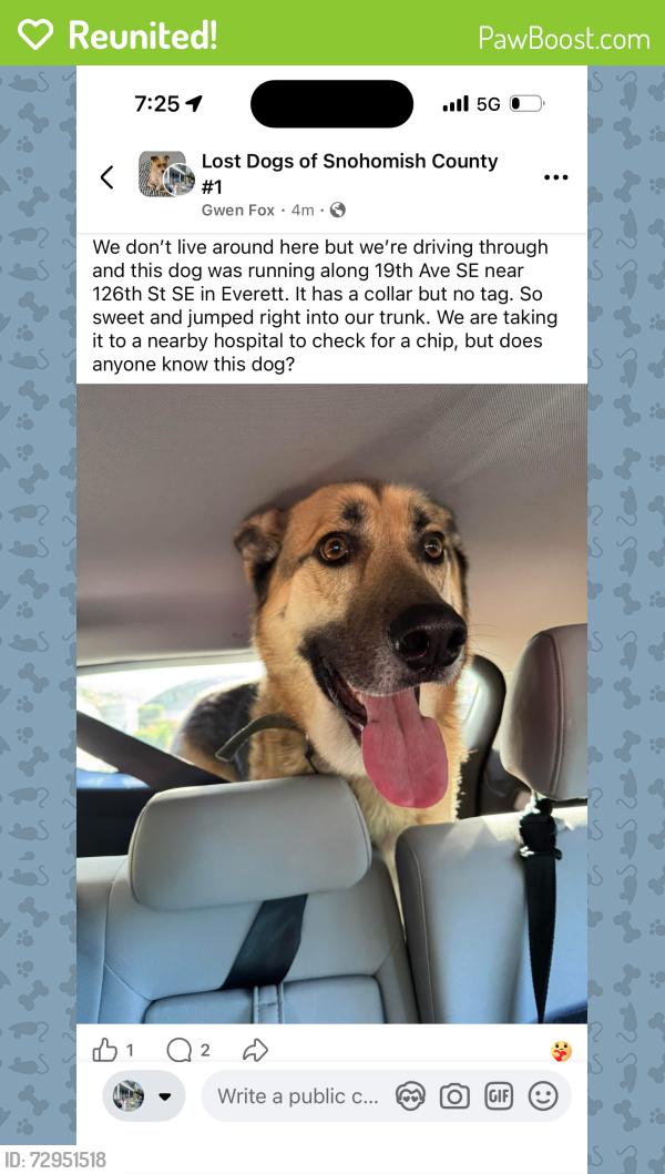 Reunited Unknown Dog last seen Near 126th ST SE, Everett, WA 98208