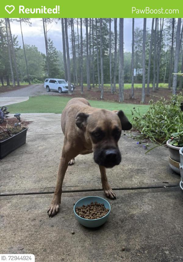 Reunited Female Dog last seen Creek on Nunnally Farm Rd Monroe Ga, Walton County, GA 30655