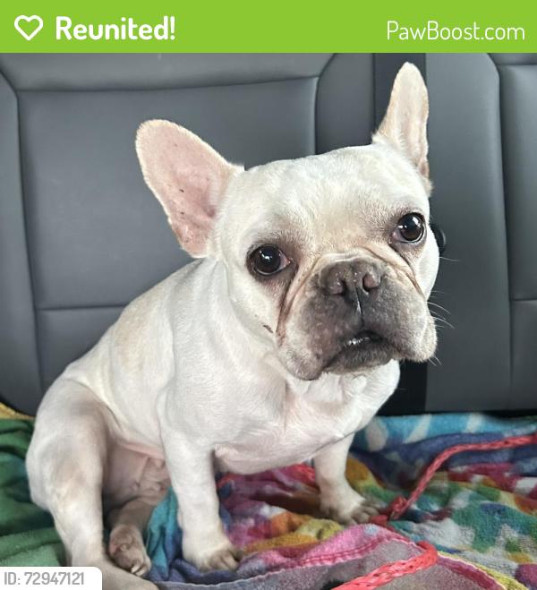 Reunited Unknown Dog last seen Port Saint Lucie, Port St. Lucie, FL 34986