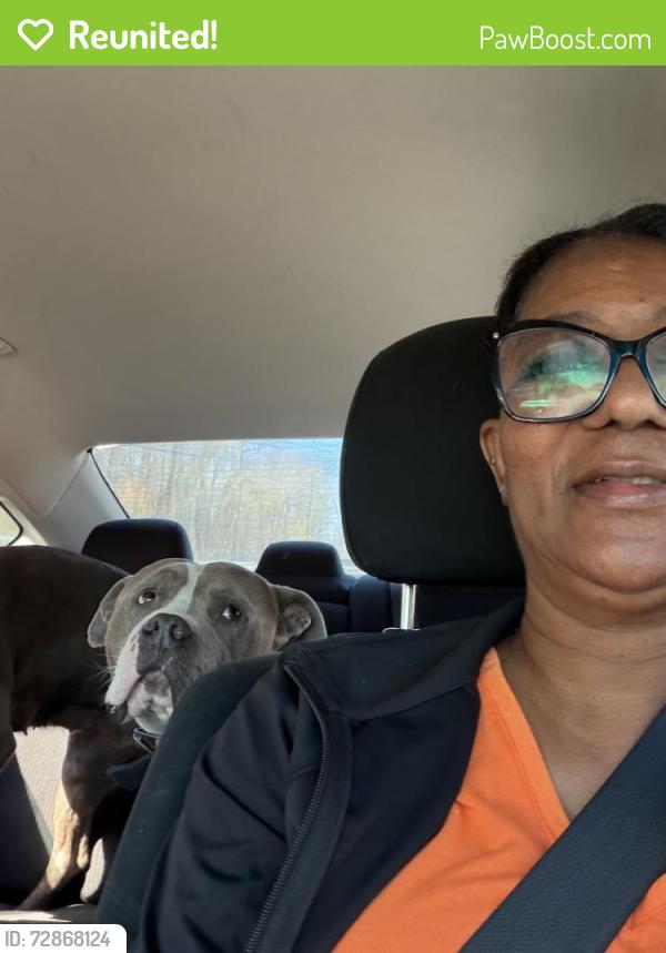 Reunited Male Dog last seen Lee landing , New Bern, NC 28560