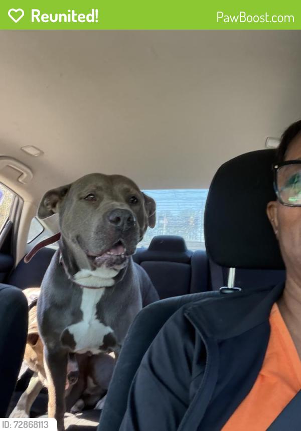Reunited Female Dog last seen Lee landing rd, New Bern, NC 28560
