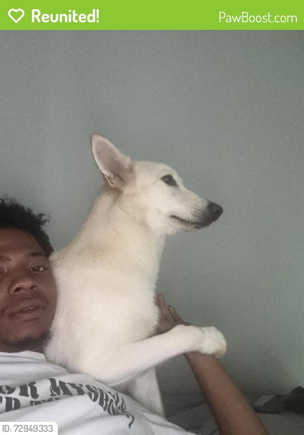 Reunited Female Dog last seen Near old south dr, Richmond, TX 77406