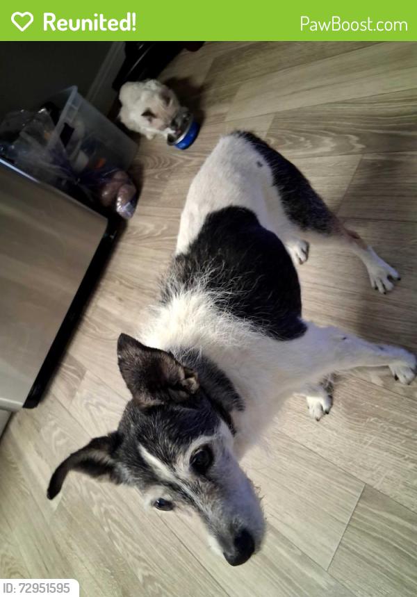 Reunited Male Dog last seen Southbound on jones boulevard and washington west, Las Vegas Valley, NV 89118