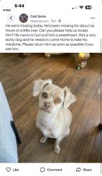Lost Male Dog last seen 68th Ave between Bancroft & Arthur, Oakland, CA 94605