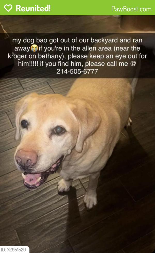 Reunited Male Dog last seen Heritage Pkwy & Bethany , Allen, TX 75002