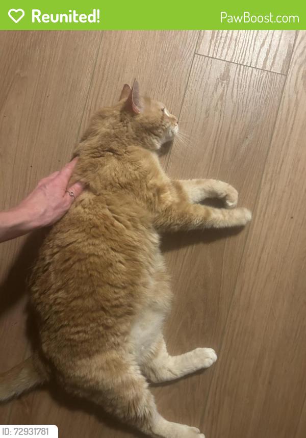 Reunited Male Cat last seen 11th and Garber, Lincoln, NE 68521