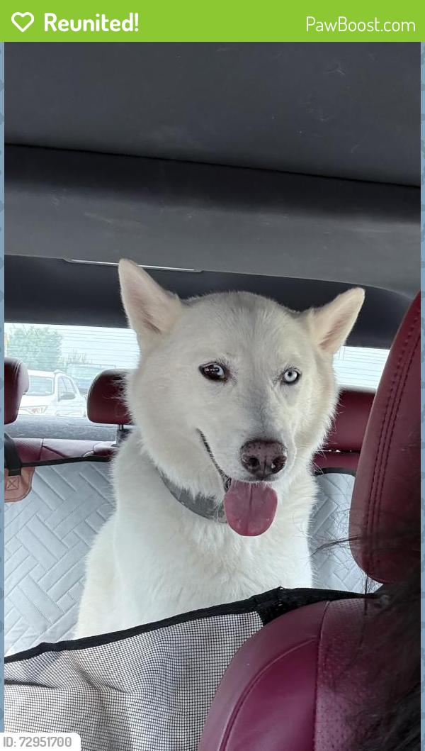 Reunited Male Dog last seen Wooddale and Harry Dr 70806, Baton Rouge, LA 70801