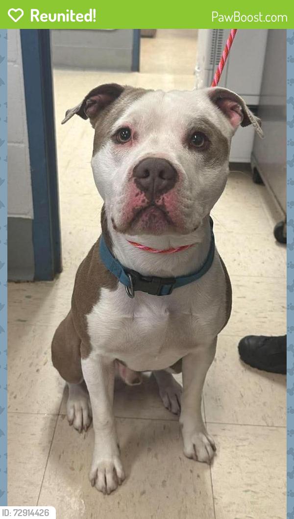 Reunited Male Dog last seen Winona and Oakdale, Saint Paul, MN 55118