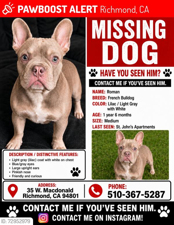 Lost Male Dog last seen McDonald Avenue, Richmond, CA 94801