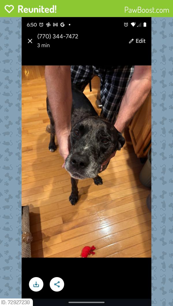 Reunited Male Dog last seen Turner Road & Hollonville Rd., Rome, GA 30165