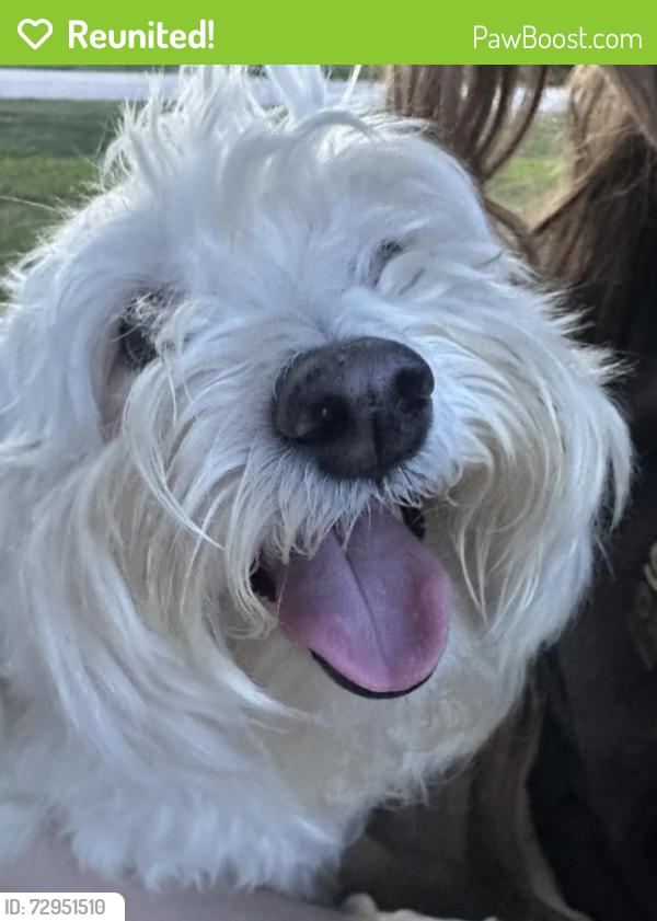 Reunited Male Dog last seen Chinn Chapel Rd, Highland Village, TX 75077