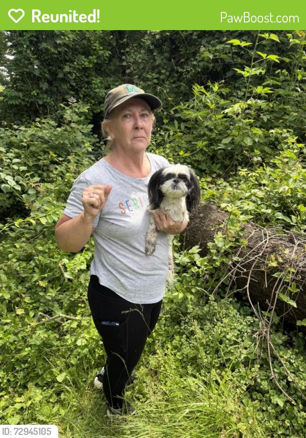 Reunited Male Dog last seen Last seen around Overbrook Elementary , Charleston, WV 25314